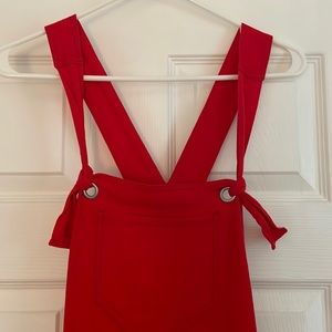 Anthropologie Constance Wide Leg Overalls